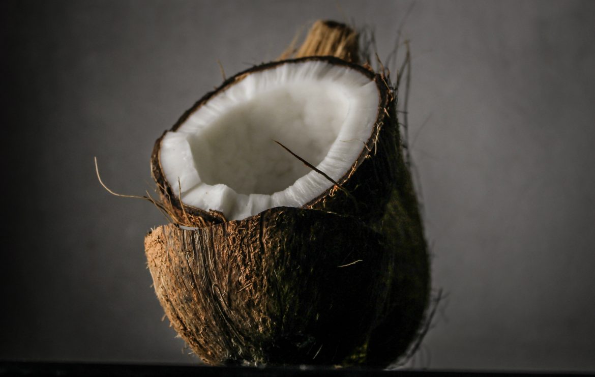 blur-close-up-coconut-1652002
